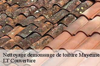 Nettoyage demoussage de toiture 53 Mayenne  AS Rénovation