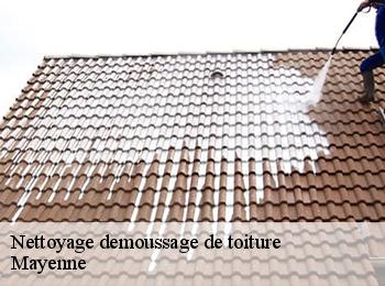 Nettoyage demoussage de toiture Mayenne