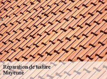 Réparation de toiture Mayenne