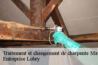 Traitement et changement de charpente 53 Mayenne Entreprise Lobry