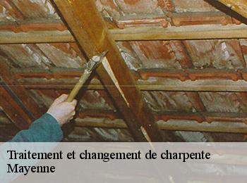 Traitement et changement de charpente Mayenne