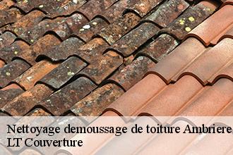 Nettoyage demoussage de toiture  ambrieres-les-vallees-53300 Toutain couverture