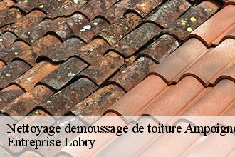 Nettoyage demoussage de toiture  ampoigne-53200 Toutain couverture