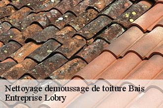 Nettoyage demoussage de toiture bais-53160 FROGER Batiment 53