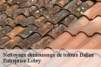 Nettoyage demoussage de toiture ballee-53340 Entreprise Lobry