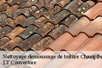 Nettoyage demoussage de toiture  champfremont-53370 LT Couverture