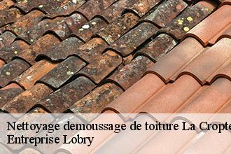 Nettoyage demoussage de toiture la-cropte-53170 FROGER Batiment 53