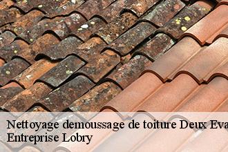 Nettoyage demoussage de toiture  deux-evailles-53150 Toutain couverture