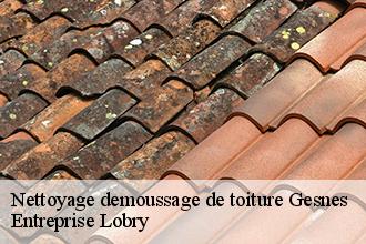 Nettoyage demoussage de toiture gesnes-53150 AS Rénovation