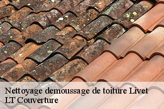 Nettoyage demoussage de toiture  livet-53150 LT Couverture