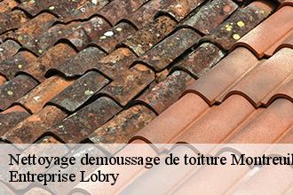 Nettoyage demoussage de toiture  montreuil-poulay-53640 LT Couverture