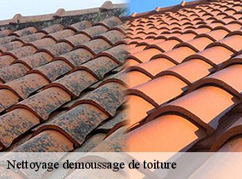 Nettoyage demoussage de toiture