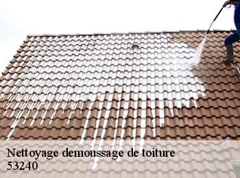 Nettoyage demoussage de toiture 53240