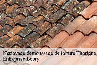 Nettoyage demoussage de toiture thorigne-en-charnie-53270 FROGER Batiment 53