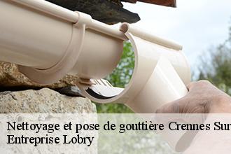 Nettoyage et pose de gouttière crennes-sur-fraubee-53700 FROGER Batiment 53