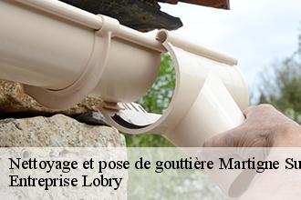 Nettoyage et pose de gouttière  martigne-sur-mayenne-53470 LT Couverture