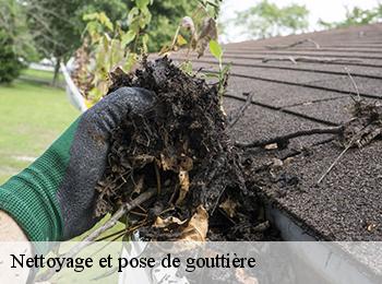 Nettoyage et pose de gouttière