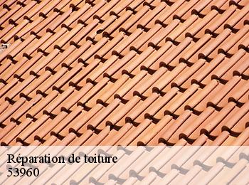 Réparation de toiture 53960