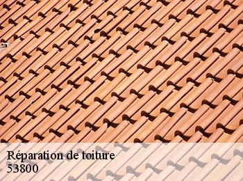 Réparation de toiture 53800