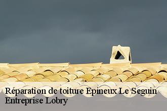 Réparation de toiture epineux-le-seguin-53340 Lobry Couverture 53