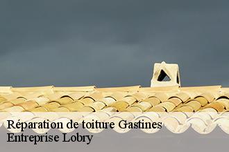 Réparation de toiture gastines-53540 Entreprise Lobry