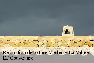 Réparation de toiture  melleray-la-vallee-53110 LT Couverture