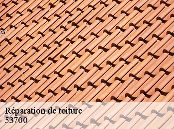 Réparation de toiture 53700