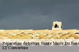 Réparation de toiture  sainte-marie-du-bois-53110 LT Couverture