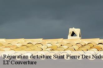 Réparation de toiture  saint-pierre-des-nids-53370 LT Couverture