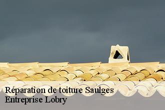Réparation de toiture saulges-53340 Concept renove 53
