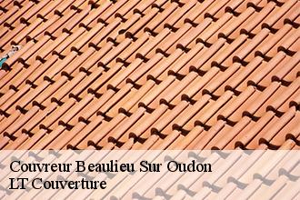 Couvreur  beaulieu-sur-oudon-53320 LT Couverture