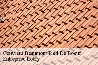 Couvreur beaumont-pied-de-boeuf-53290 AS Rénovation
