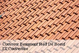 Couvreur  beaumont-pied-de-boeuf-53290 Toutain couverture