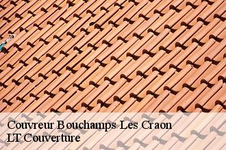 Couvreur  bouchamps-les-craon-53800 Lobry Couverture 53