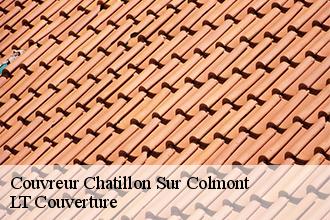 Couvreur  chatillon-sur-colmont-53100 Lobry Couverture 53