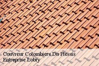 Couvreur colombiers-du-plessis-53120 AS Rénovation