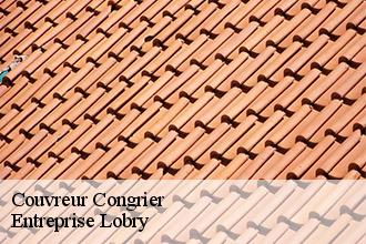 Couvreur congrier-53800 Lobry Couverture 53