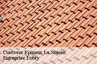 Couvreur epineux-le-seguin-53340 Lobry Couverture 53