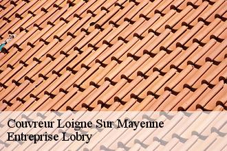 Couvreur loigne-sur-mayenne-53200 AS Rénovation