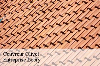 Couvreur olivet-53410 AS Rénovation