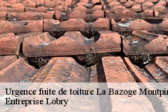 Urgence fuite de toiture la-bazoge-montpincon-53440 Concept renove 53