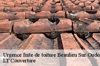 Urgence fuite de toiture  beaulieu-sur-oudon-53320 LT Couverture