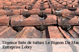 Urgence fuite de toiture le-bignon-du-maine-53170 Toutain couverture