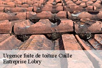 Urgence fuite de toiture cuille-53540 Toutain couverture