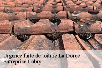 Urgence fuite de toiture la-doree-53190 Concept renove 53