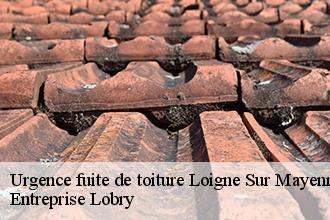 Urgence fuite de toiture loigne-sur-mayenne-53200 Entreprise Lobry