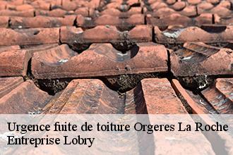 Urgence fuite de toiture orgeres-la-roche-53140 Concept renove 53