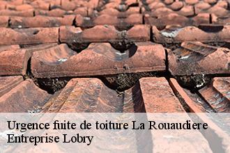 Urgence fuite de toiture la-rouaudiere-53390 FROGER Batiment 53