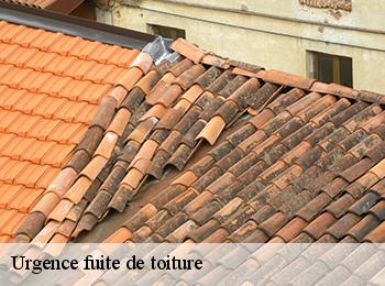 Urgence fuite de toiture