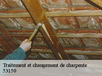 Traitement et changement de charpente 53150